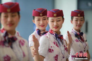 多彩貴州網(wǎng) 重慶 動姐 禮儀培訓(xùn)備戰(zhàn)鐵路調(diào)圖